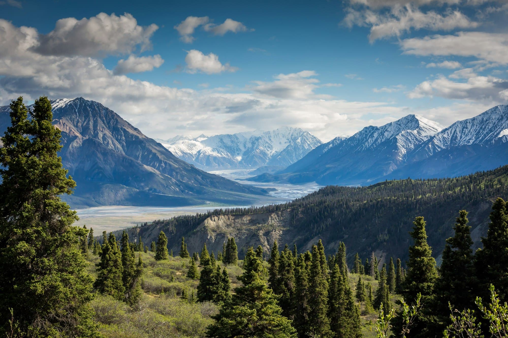 Snowy peaks above a forested valley